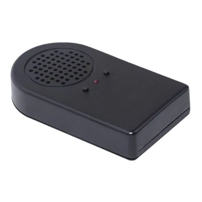 electric fireplace speaker